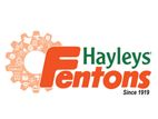 Sales Executive - Haliela