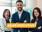 Sales Executive