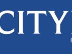 Sales Executive