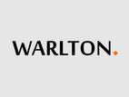 Sales Executive