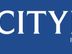 Sales Executive