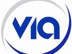 Sales Executive