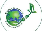 Sales Executive - Vavuniya