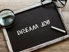 Sales Job