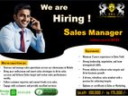Sales Manager - ᴹᵃᵗᵃˡᵉ