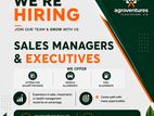 SALES MANAGERS & EXECUTIVES