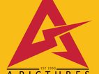 Sales / Marketing Executive