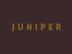 Senior Sales Executive