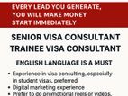 Senior Student Visa Consultant