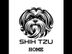 Shihitzu Home கொழும்பு