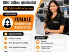 Showroom Assistant