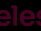 Showroom Sales Executive