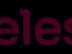 Showroom Sales Executive