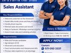 Showroom Sales Assistant