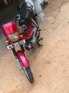 Singer Lima Safari 2018 for Sale