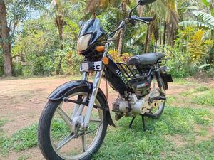 Singer Safari 2019 for Sale