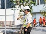 Site Engineers – Colombo 5.