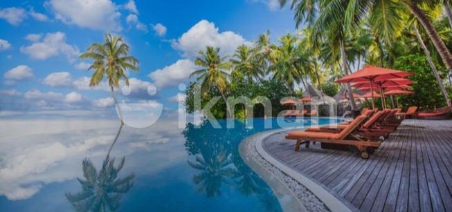 355f95b6-3682-4f14-9a8d-173f5148f8b1