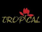 Store Assistant – Food Industry