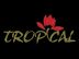 Store Assistant – Food Industry