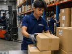 Store Assistant - Ja Ela