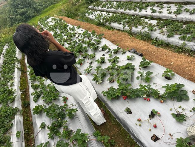 518d8425-fd23-42fa-851f-b46fc9c3203b