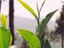 සුපර්වයිසර් - නිෂ්පාදන අංශය