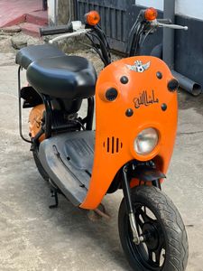 Suzuki Choi nori 2021 for Sale Suzuki Choi nori 2021 for Sale