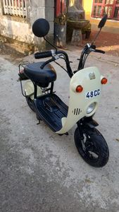 Suzuki Choi Nori 48cc 2025 for Sale