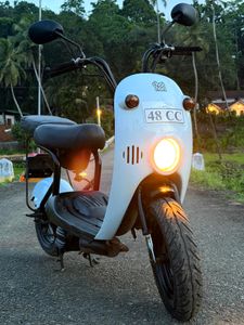 Suzuki Choi Nori 48cc 2024 for Sale