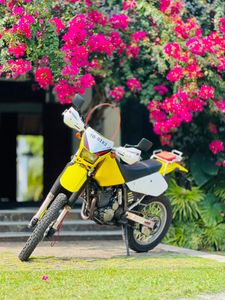 Suzuki DR 2006 for Sale