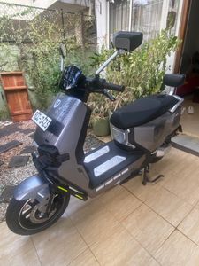 TAILG55 2026 for Sale TAILG55 2026 for Sale