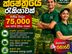 Tea Bags Production Packing helpers - Colombo