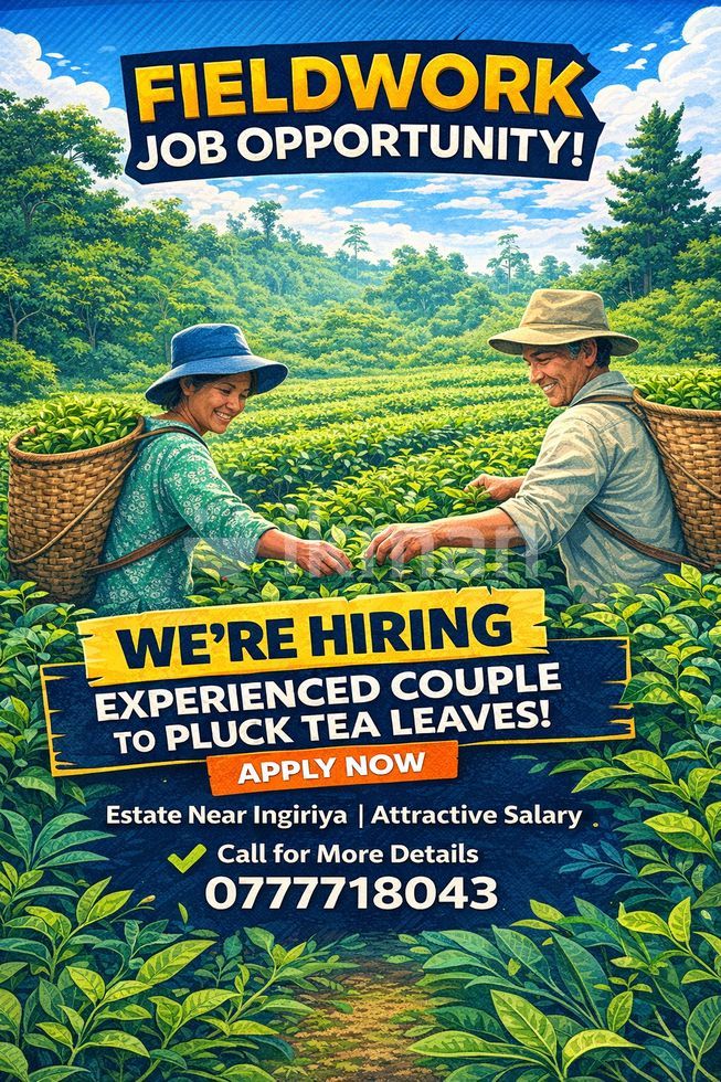 a4b11b64-a9c1-42aa-a24f-5bc2bca4874d