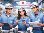 Technical Intern Trainee - Japan
