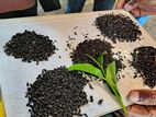 තේකොළ නිශ්පාදන කර්මාන්තශාලා නවක නිලධාරීන්