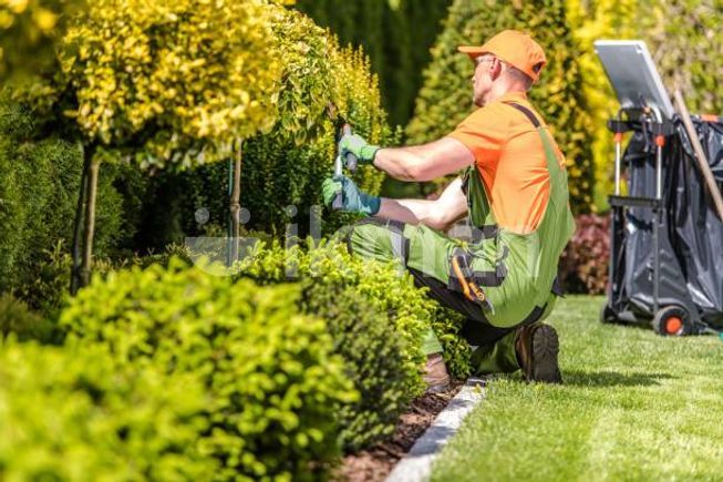 88d065c2-8d0c-451c-97ca-f4d2e47c4cdb