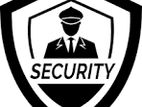 Temporary Security Opportunities