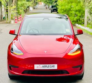 Tesla Model Y One and Only 2024 for Sale