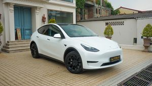 Tesla Model Y White, Black 2024 for Sale