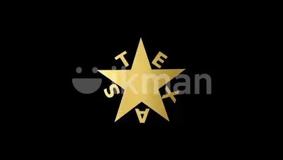 Texas Automobiles International Pvt Ltd logo