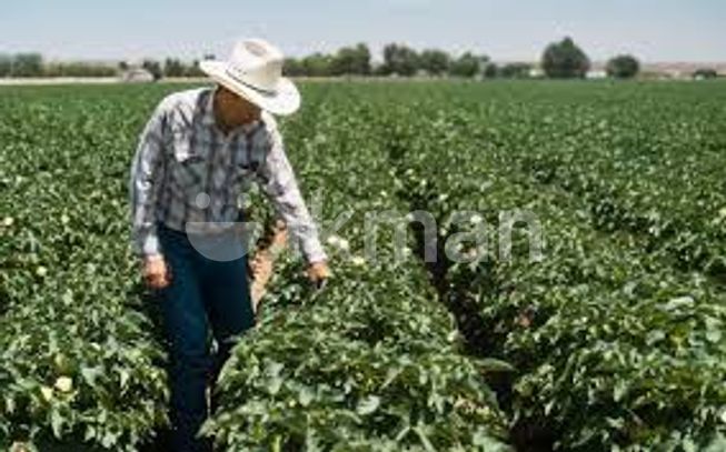 24185a10-4239-43b4-86bd-c7d97982004e