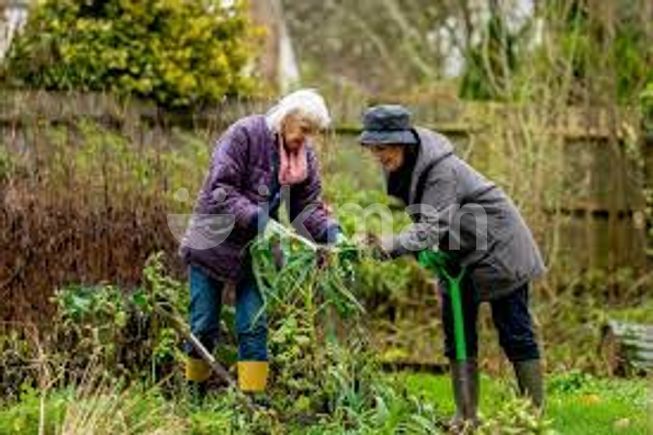 c6dcf2b7-b387-4fd6-a96a-7345adb12218