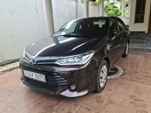 Toyota Axio G Grade 2015 for Sale