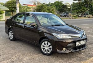 Toyota Axio G Grade 2015 for Sale