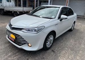 Toyota Axio G Grade 2015 for Sale