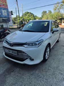 Toyota Axio NKE165 2013 for Sale