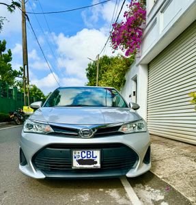 Toyota Axio Petrol 2019 for Sale