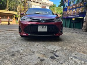 Toyota Axio 2019 for Sale