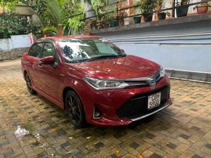 Toyota Axio 2019 for Sale